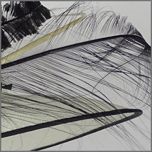 Load image into Gallery viewer, Noelle Hat - Ivory &amp; Black