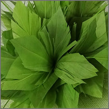 Load image into Gallery viewer, Aliza Disc Fascinator - Sage Green