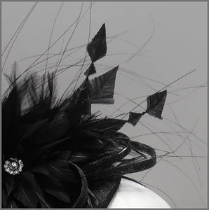 Elegant Black Formal Event Mini Disc Fascinator
